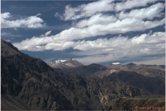 Peru 20070805 Arequipa-Colca (111)
