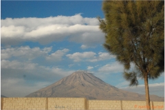 Peru 20070805 Arequipa-Colca (198)