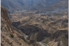 Peru 20070805 Arequipa-Colca (63)