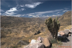 Peru 20070805 Arequipa-Colca (81)