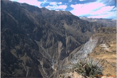 Peru 20070805 Arequipa-Colca (91)