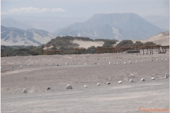 Peru 20070808 Nazca (64)