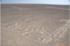 Peru 20070808 Nazca (75)
