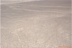 Peru 20070808 Nazca (81)