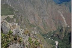 Peru 20070729 Machu Picchu (175)