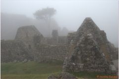 Peru 20070729 Machu Picchu (32)