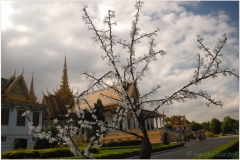 20081118 Bangkok-Kambodza Phnom Penh (64)