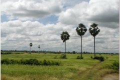 20081119 Kambodza Phnom Penh (88)b