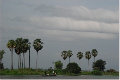 20081120 Kambodza Phnom Penh - Siem Reap (18)