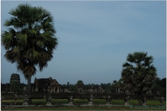 20081121 Kambodza - Siem Reap (128)