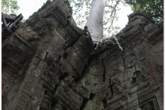 20081121 Kambodza - Siem Reap (250)