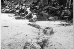 20081121 Kambodza - Siem Reap (263)