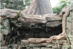 20081121 Kambodza - Siem Reap (267)