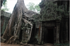 20081121 Kambodza - Siem Reap (269)