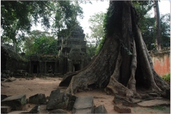 20081121 Kambodza - Siem Reap (271)