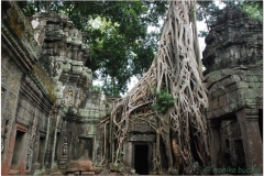 20081121 Kambodza - Siem Reap (277)