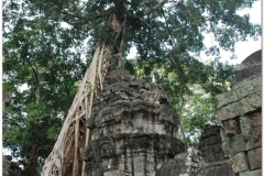 20081121 Kambodza - Siem Reap (279)