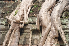 20081121 Kambodza - Siem Reap (281)