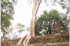 20081121 Kambodza - Siem Reap (289)