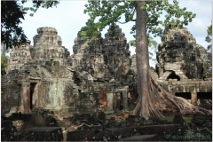 20081121 Kambodza - Siem Reap (313)