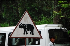 20081122 Kambodza - Siem Reap (151)