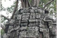 20081122 Kambodza - Siem Reap (50)