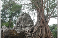 20081122 Kambodza - Siem Reap (51)