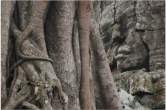20081122 Kambodza - Siem Reap (53)