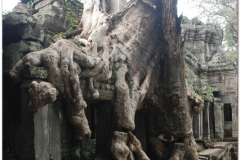 20081122 Kambodza - Siem Reap (86)