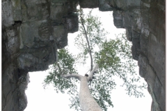 20081122 Kambodza - Siem Reap (87)