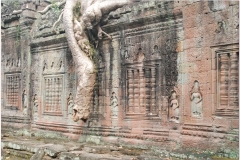 20081122 Kambodza - Siem Reap (88)