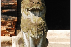 20081123 Kambodza - Siem Reap (28)