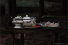 20081124 Kambodza - Laos Pakse-Champasak (94)