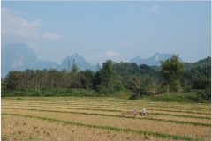 20081127 Laos Vientianne-Ponsavanh (31)