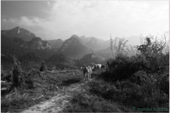 20081127 Laos Vientianne-Ponsavanh (38)