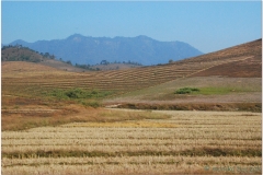 20081129 Laos Ponsavanh - Luang Prabang (14)