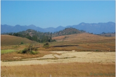 20081129 Laos Ponsavanh - Luang Prabang (16)