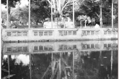 20081204 Wietnam Hanoi (111)