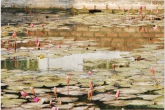 20081204 Wietnam Hanoi (85)