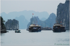 20081206 Wietnam Hanoi - Ha Long (15)