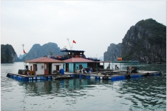 20081206 Wietnam Hanoi - Ha Long (22)