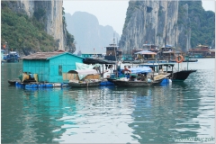 20081206 Wietnam Hanoi - Ha Long (24)