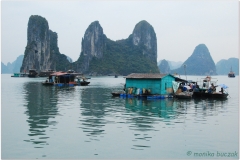 20081206 Wietnam Hanoi - Ha Long (27)