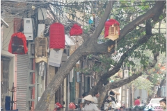 20081207 Wietnam Hanoi (19)