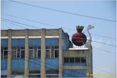 20090913 Addis 1 - Taitu (11)