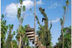 20090913 Addis 3 - Uniwersytet (9)