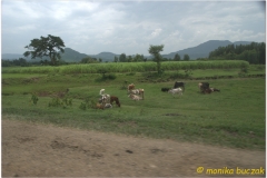20090914 Bahar Dar-Tis Yssat (181)