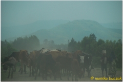 20090914 Bahar Dar-Tis Yssat (184)