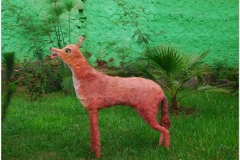 20090914 Bahar Dar-Tis Yssat (205)