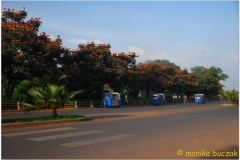 20090914 Bahar Dar-Tis Yssat (209)